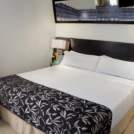 Sercotel Torres Otel Salamanca