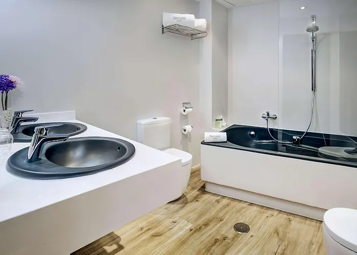 Sercotel Torres 호텔 3*