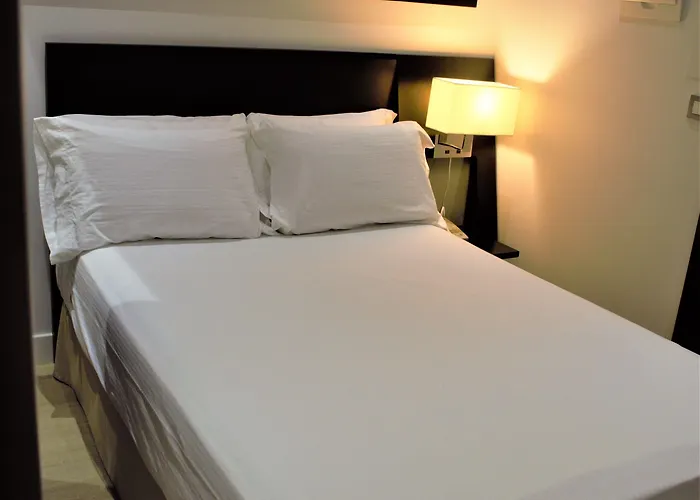 Sercotel Torres 호텔 3*